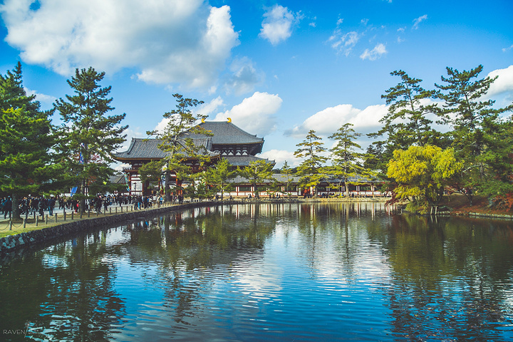 的发源地,尤其是日本佛教的发源地,奈良地区留下了很多座寺庙,所以