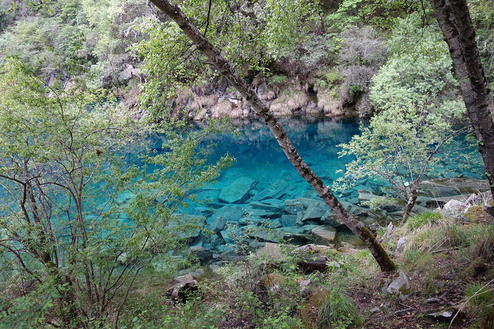 松坪沟里主要由几个景点组成,有三沟九海十四景的说法,但比较有看点的