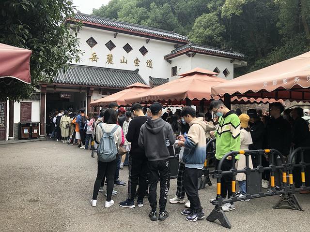 不得不说 岳麓山下山的石阶还蛮难走的.开始下山