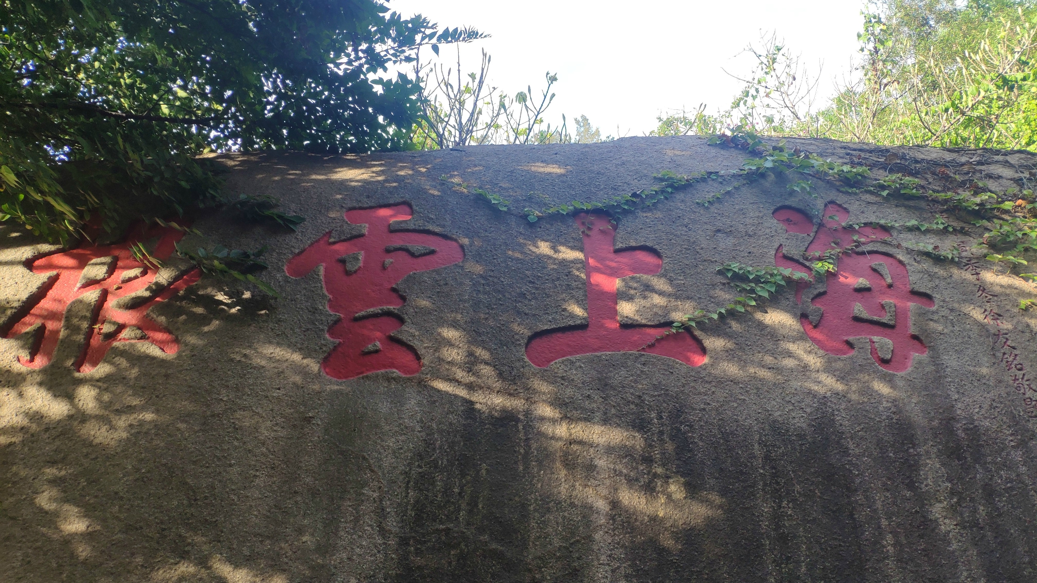 第6天  南普陀寺、植物园自由游