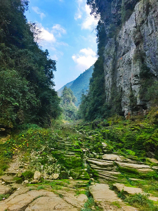 清江古河床精华半程行——记我的第一次徒步之旅(恩施全攻略之利川篇)