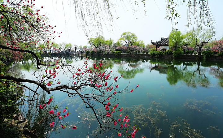 伸入蠡湖的蠡园是无锡的老牌公园具有江南园林风格以水景见长细细窄窄
