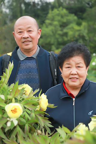 我们是4月13日去的洛阳选择的是中国国花园非花期免费60岁以上老人