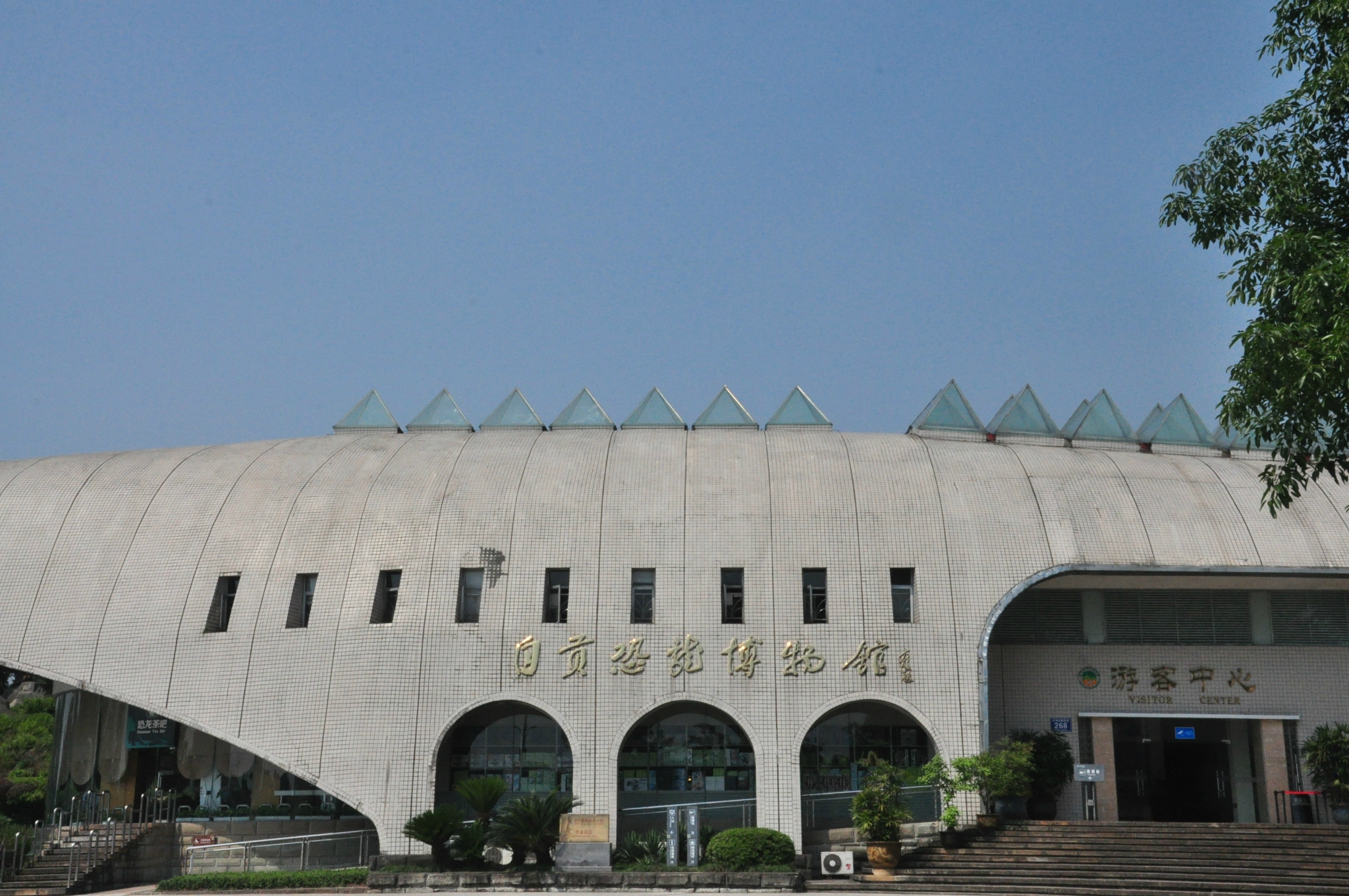 四川游记之自贡恐龙博物馆