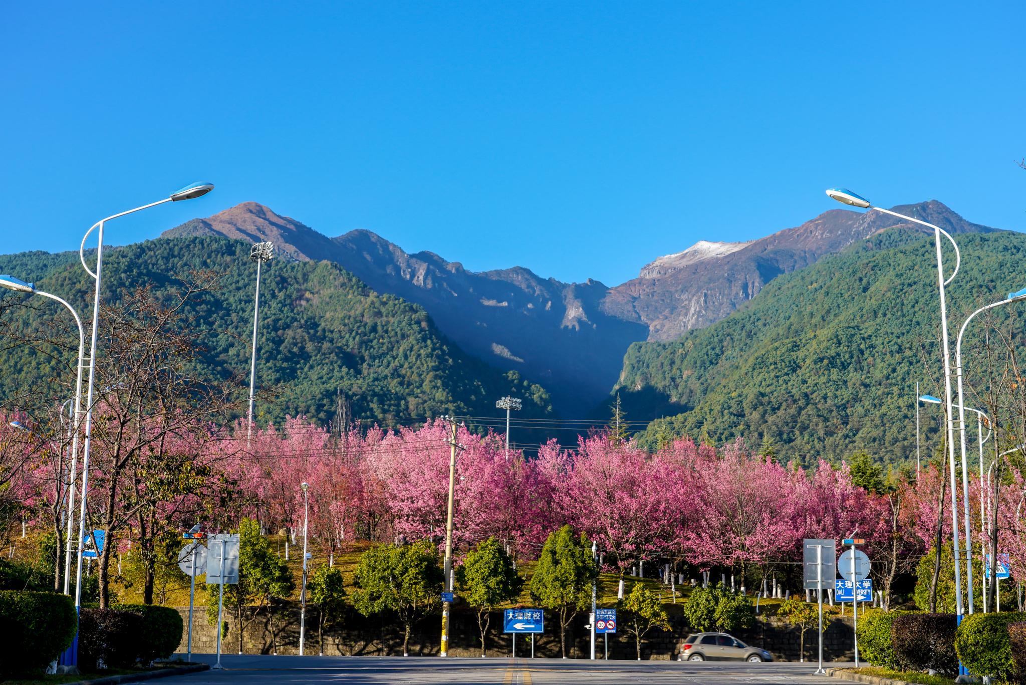 风花雪月 自在大理_陕西频道_凤凰网