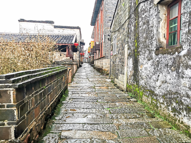 罗田村景区:是安义古村群三个古村群组成之一,拥有2000人的大村.