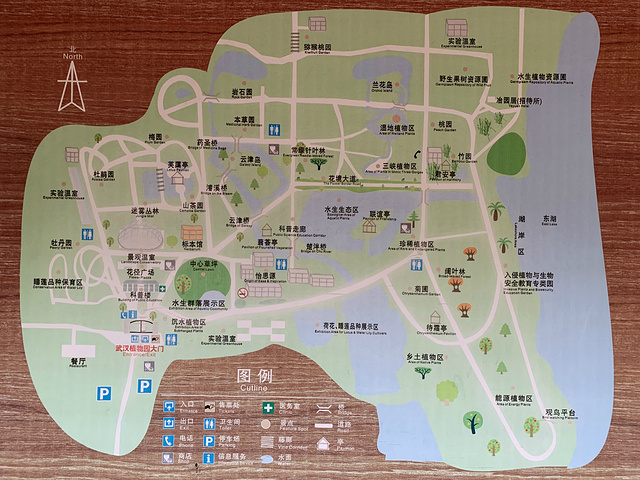 来武汉植物园,是很多武汉当地朋友给的建议
