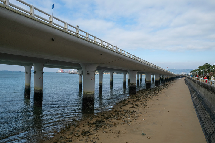 上部结构为流线型渔腹式箱梁,下部结构为柱式椭圆型桥墩,大桥紧贴海面