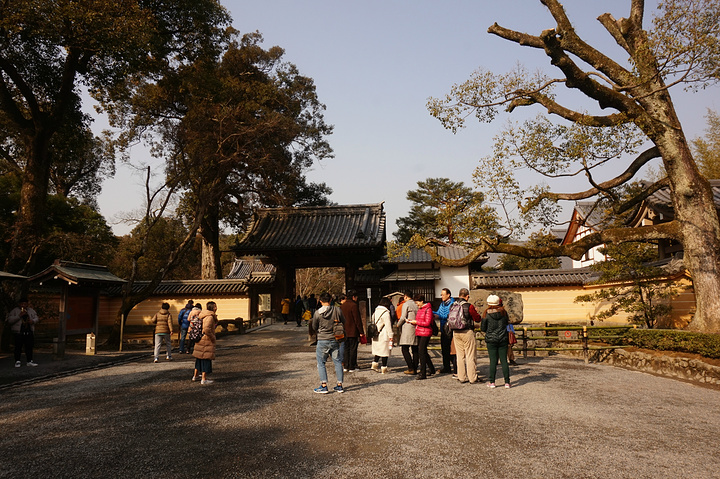 公园里有各种各样的日式传统古建筑