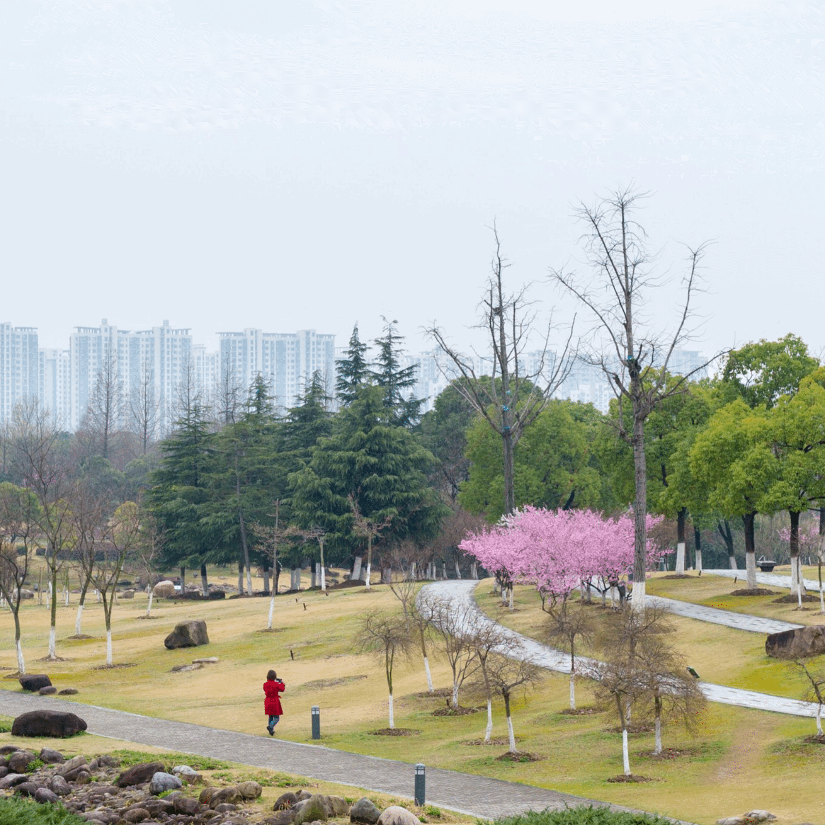 苏州本地人带你一起玩转苏州城避开游玩漏洞内附苏州三日游详情