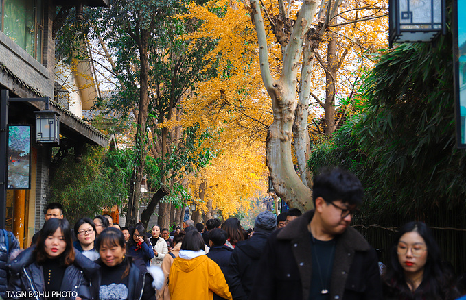 六天五晚成都亲子旅行享受天府之国冬日里的亲子时光