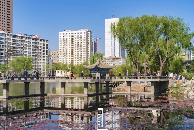 兰州小西湖图片
