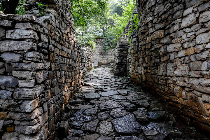 大院 夫妻槐 南哨门 仪凤桥从云门山回来,把半天的时间交给井塘古村吧