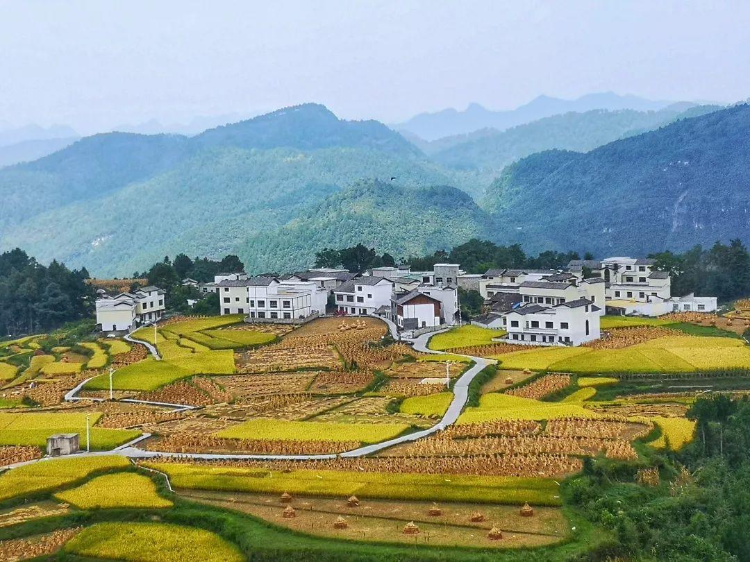 天高气爽去贵州寻秋，在漫山遍野里拥抱金黄！【第一期】