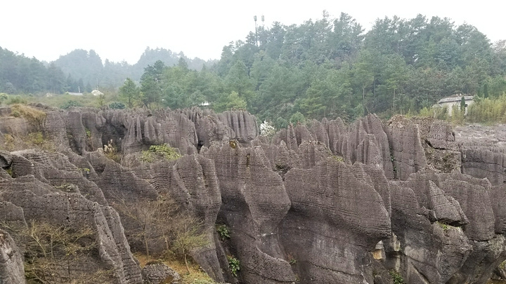 "万盛石林位于重庆万盛区石林镇,距万盛城区20公里,以地表石林