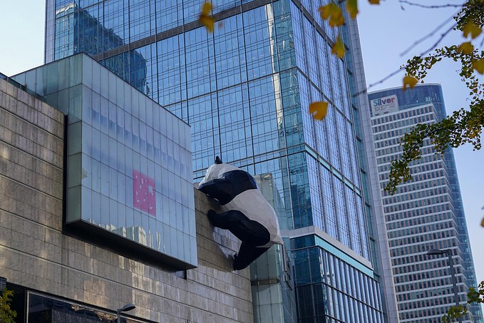 从住的酒店一路溜达去春熙路,一路上随处可加熊猫元素,连自行车上都是