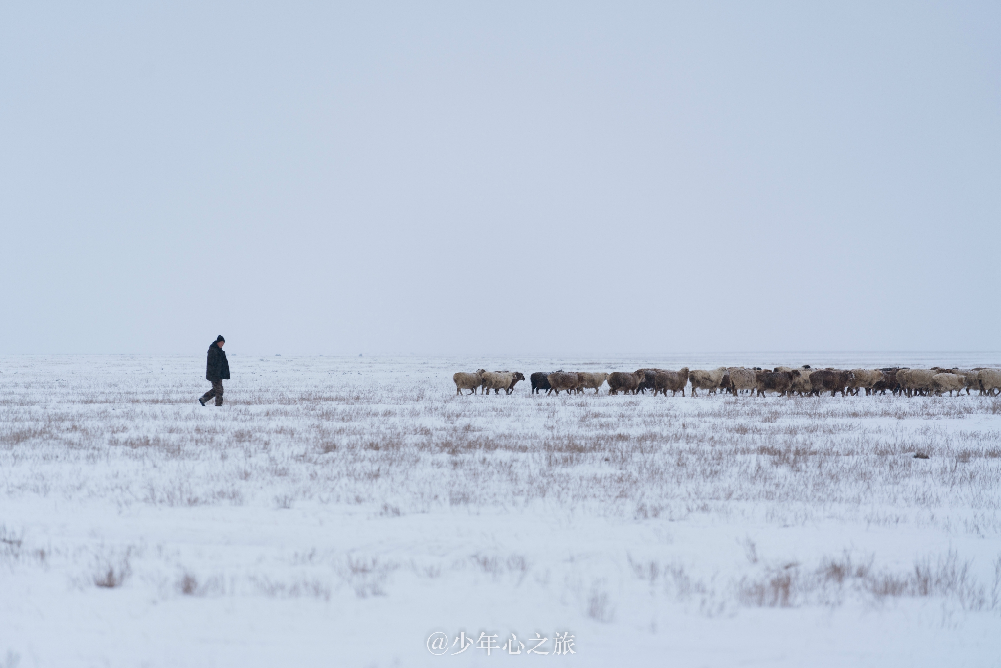 冬游新疆，你是我们梦回牵绕的远方