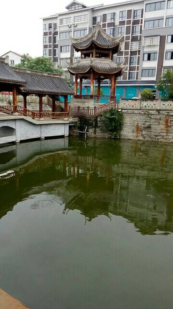 2019古湖门票,内江古湖游玩攻略,古湖游览攻略路线
