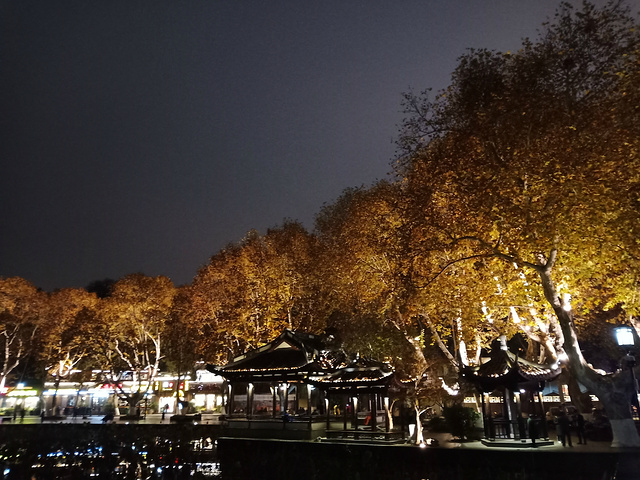 但我觉得冬天夜晚不适合逛西湖,首先黑天太早,而这里的夜景灯又不是太