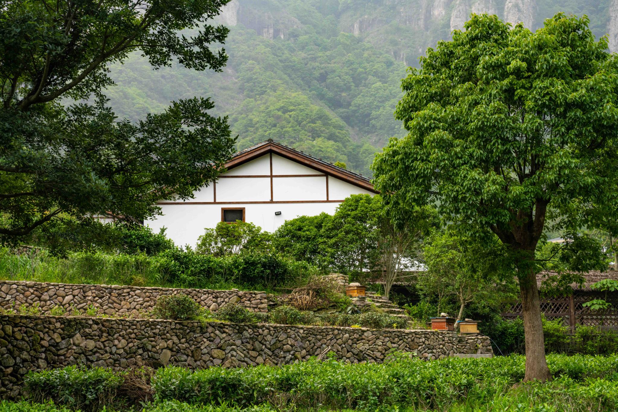 雁荡山大龙湫很神奇，同一山峰变幻各种形态，瀑布如白龙一般神骏