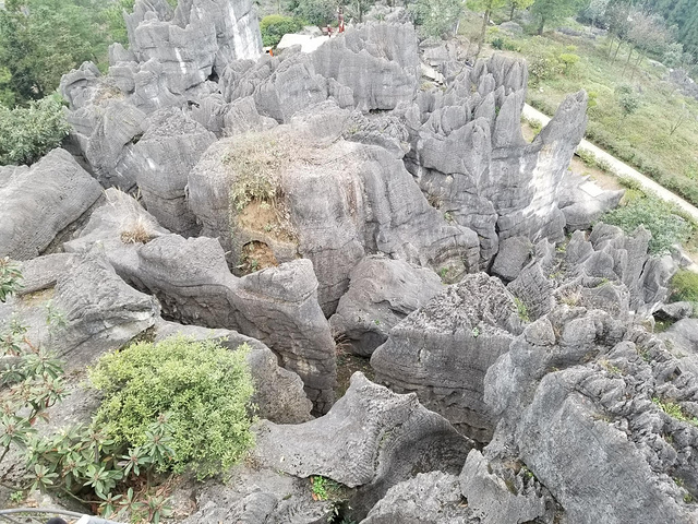 万盛石林位于重庆万盛区石林镇,距万盛城区20公里,以地表石林,地下