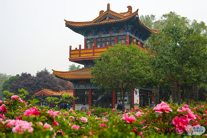 中国国花园图片