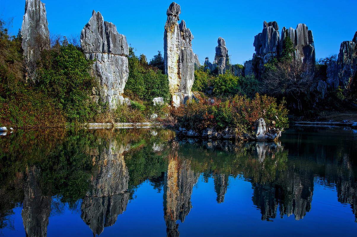 ⛰石林风景区&🐬冰雪海洋世界|欣赏自然造物与海洋风景🌹