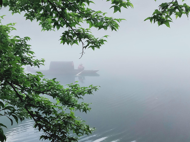 这几几天玩了aaaaa级景区东江湖景区/人间仙境——雾漫小东江/最美