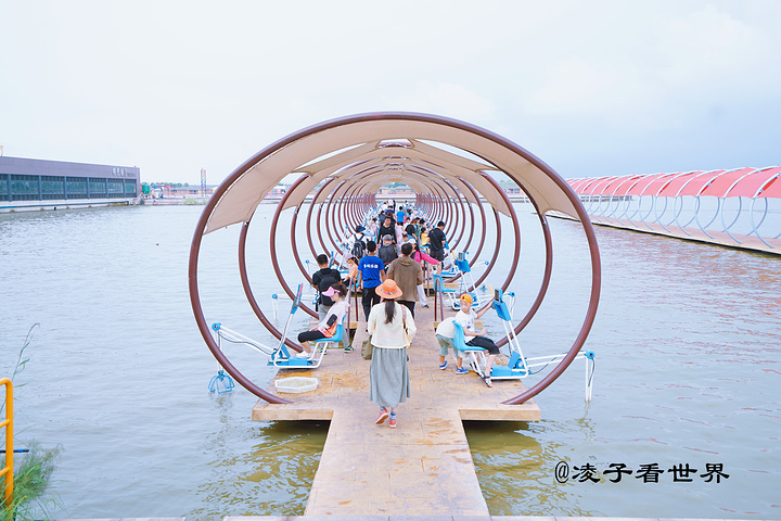 自驾沿着唐曹高速或迁曹高速,从曹妃甸湿地出口下即可抵达_多玛乐园&