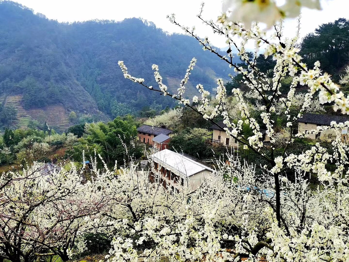 国庆期间千岛湖三天游，在仟陌间民宿，巧遇大学同学，重温旧梦