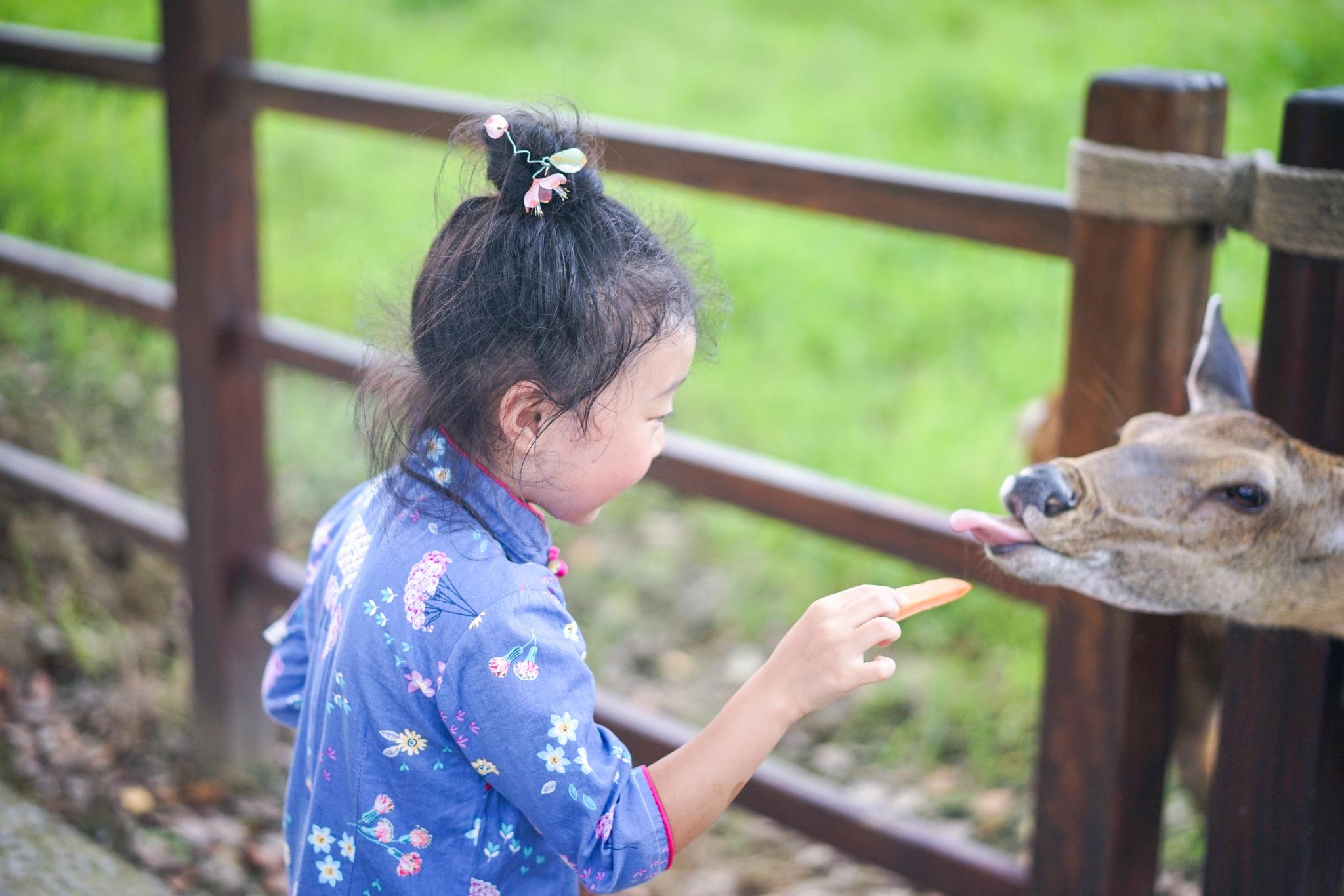 玩转夏日，探访五千年前的神秘城池