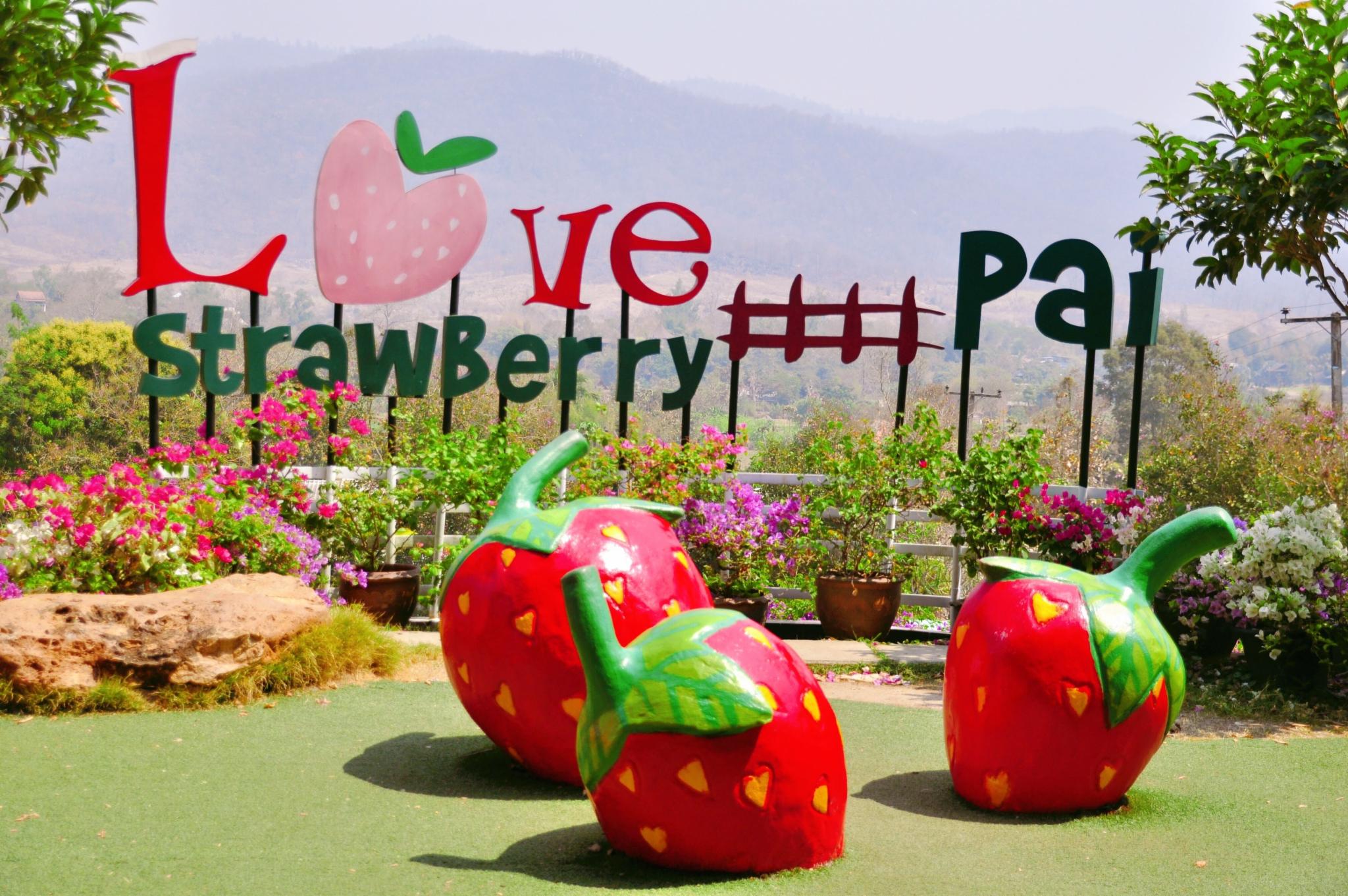 爱在拜县，小城清迈掠影