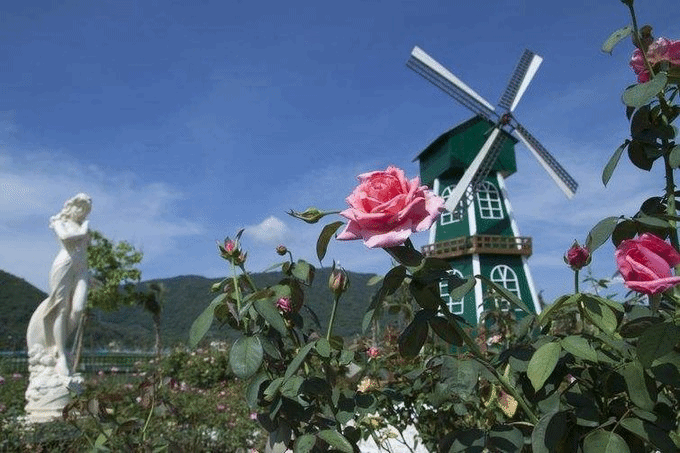 年前的三亚旅行,去看最美的碧海蓝天  亚龙湾 国际玫瑰谷"是一个以