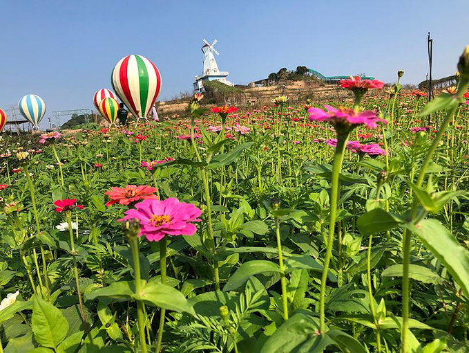 深圳凤凰山农趣谷图片