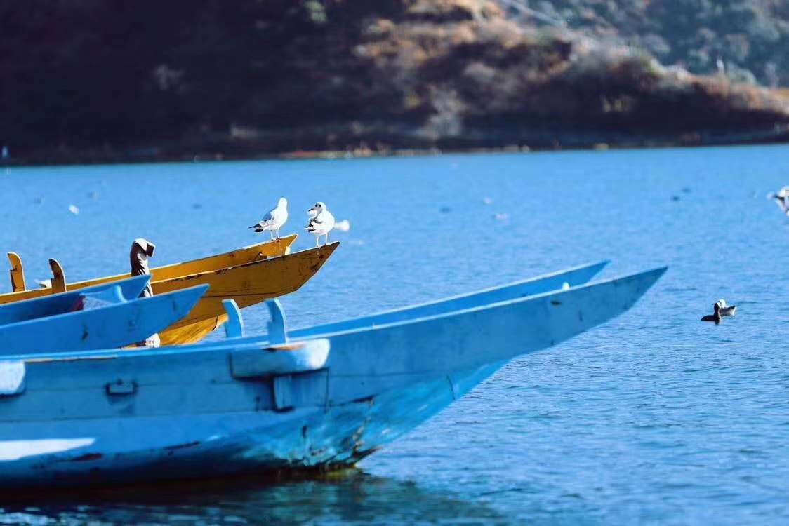记一次预算紧巴巴的毕业旅行，12月去风景如画的丽江，泸沽湖