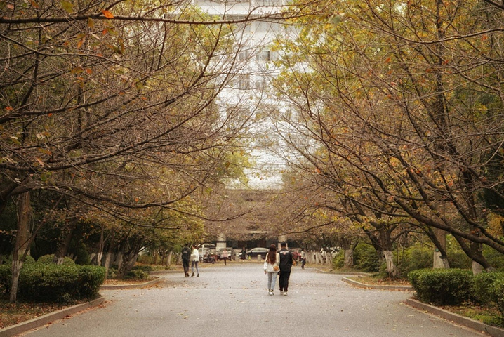 还是这个城市,还是这个校园,还是这条路_南京林业大学"的评论图片