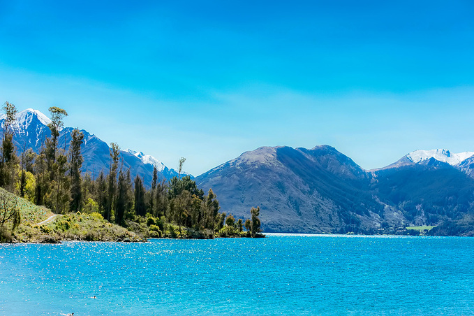 新西兰南岛蒂卡普湖,一个有神迹的地方-特卡波湖旅游