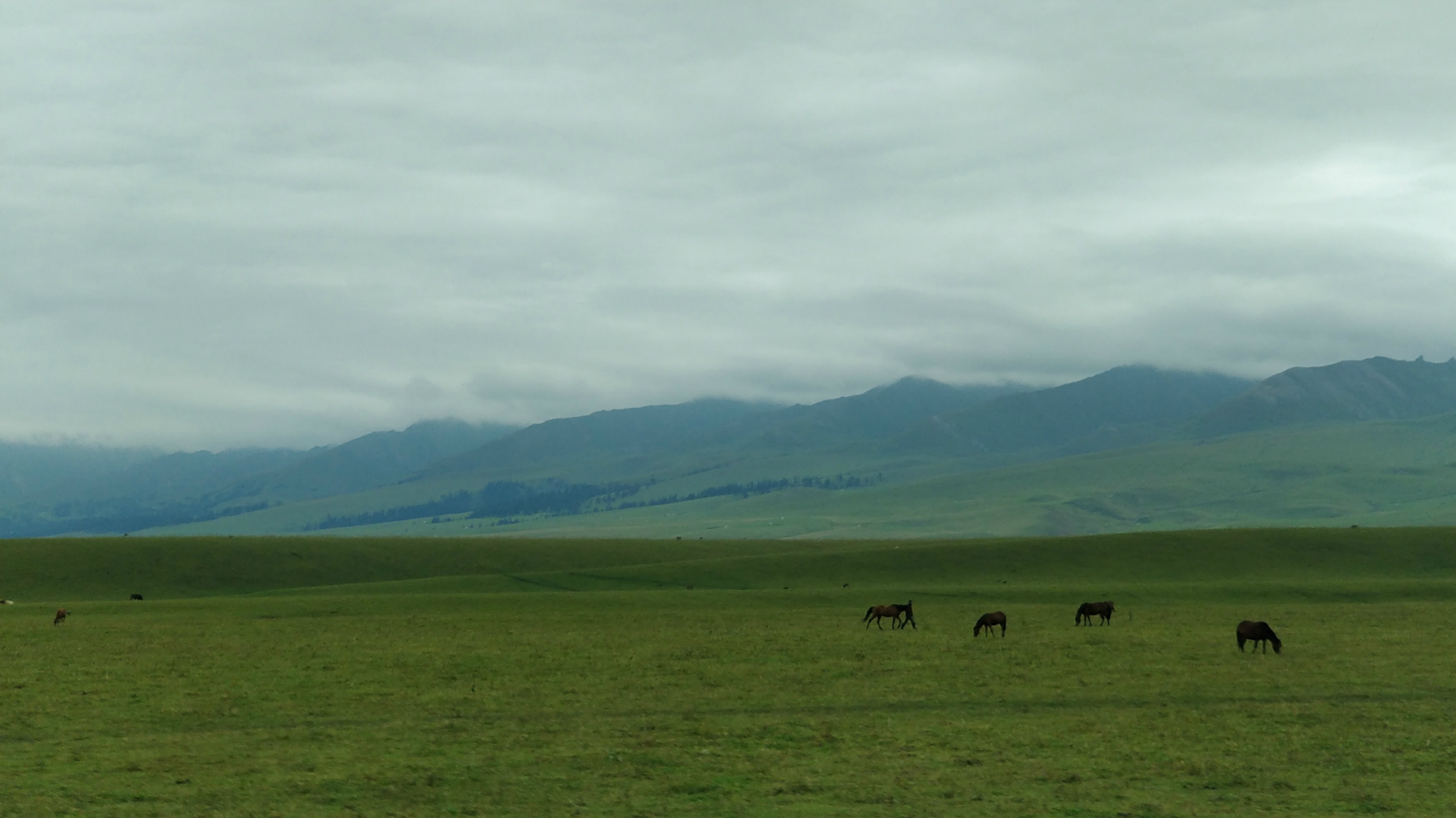 纵横西域万里行-新疆逐梦之旅之十一那拉提草原
