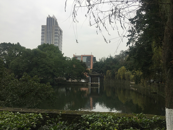 重庆大学a区图片