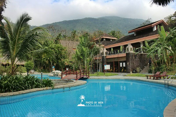 其实海南真正高大粗壮的乔木并不多,即使一,二十年的大榕树也是由无数