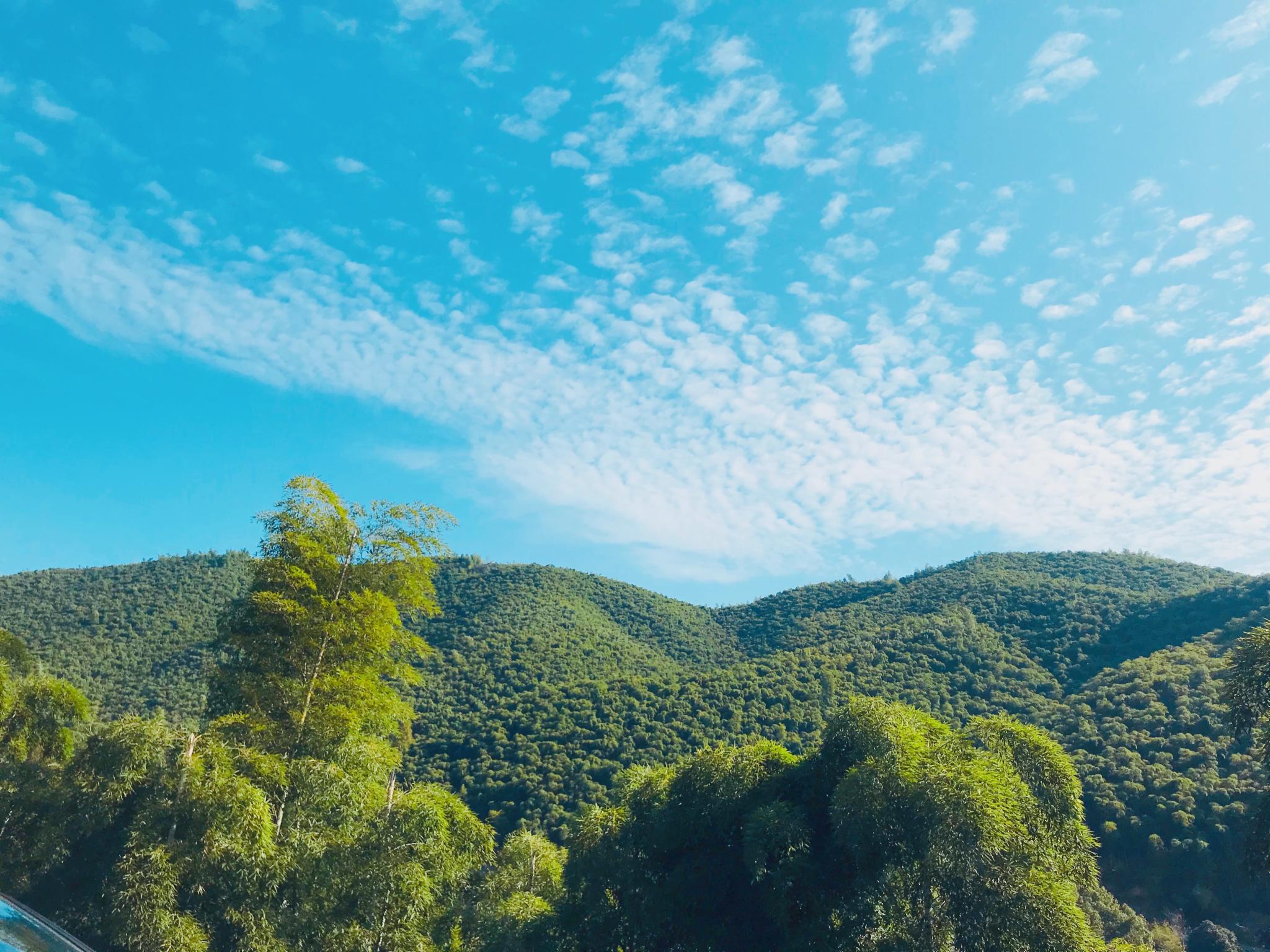 深秋初见莫干山--3天2晚小众游