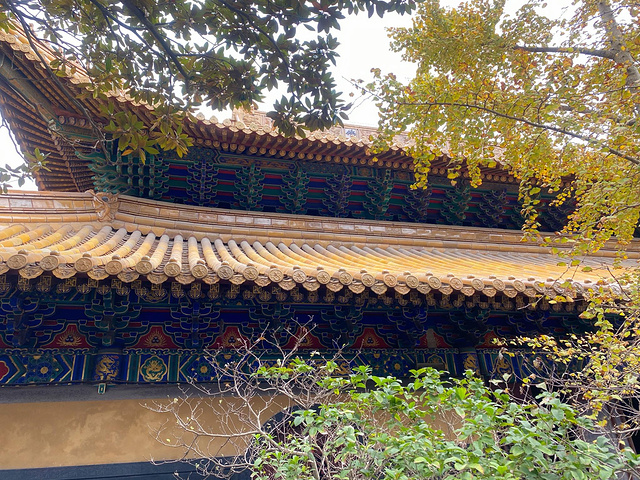 法雨寺真的是随手一拍即美景非常喜欢这的建筑风格,古色古香_法雨寺&