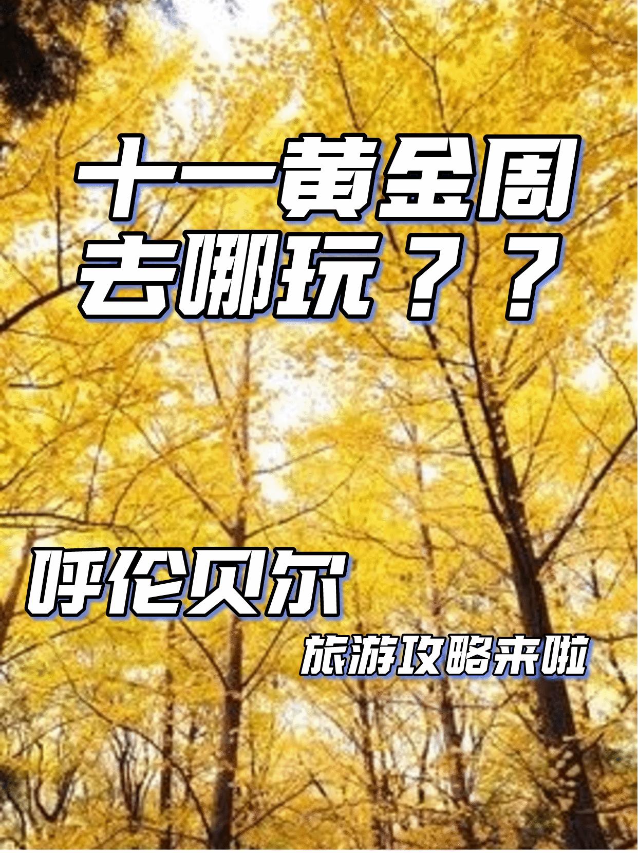 十一黄金周去哪玩？？呼伦贝尔旅游攻略打包带走！