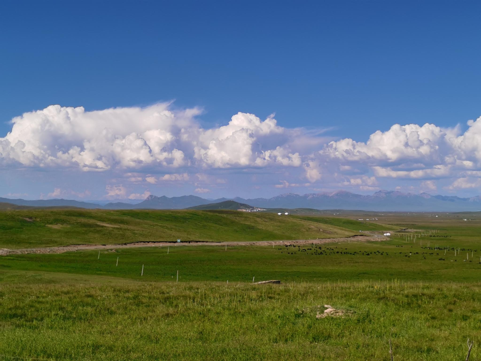 再享川西北和甘南大自然风光--川甘四天游