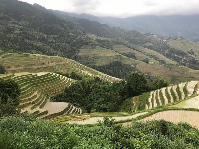 龙脊梯田,2021龙脊梯田游记,龙脊梯田旅游/自助游/行