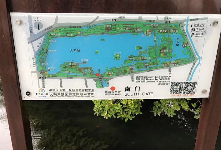 大明湖是泉水湖,以前在还珠格格里,听过那句经典的台词,让我对这个