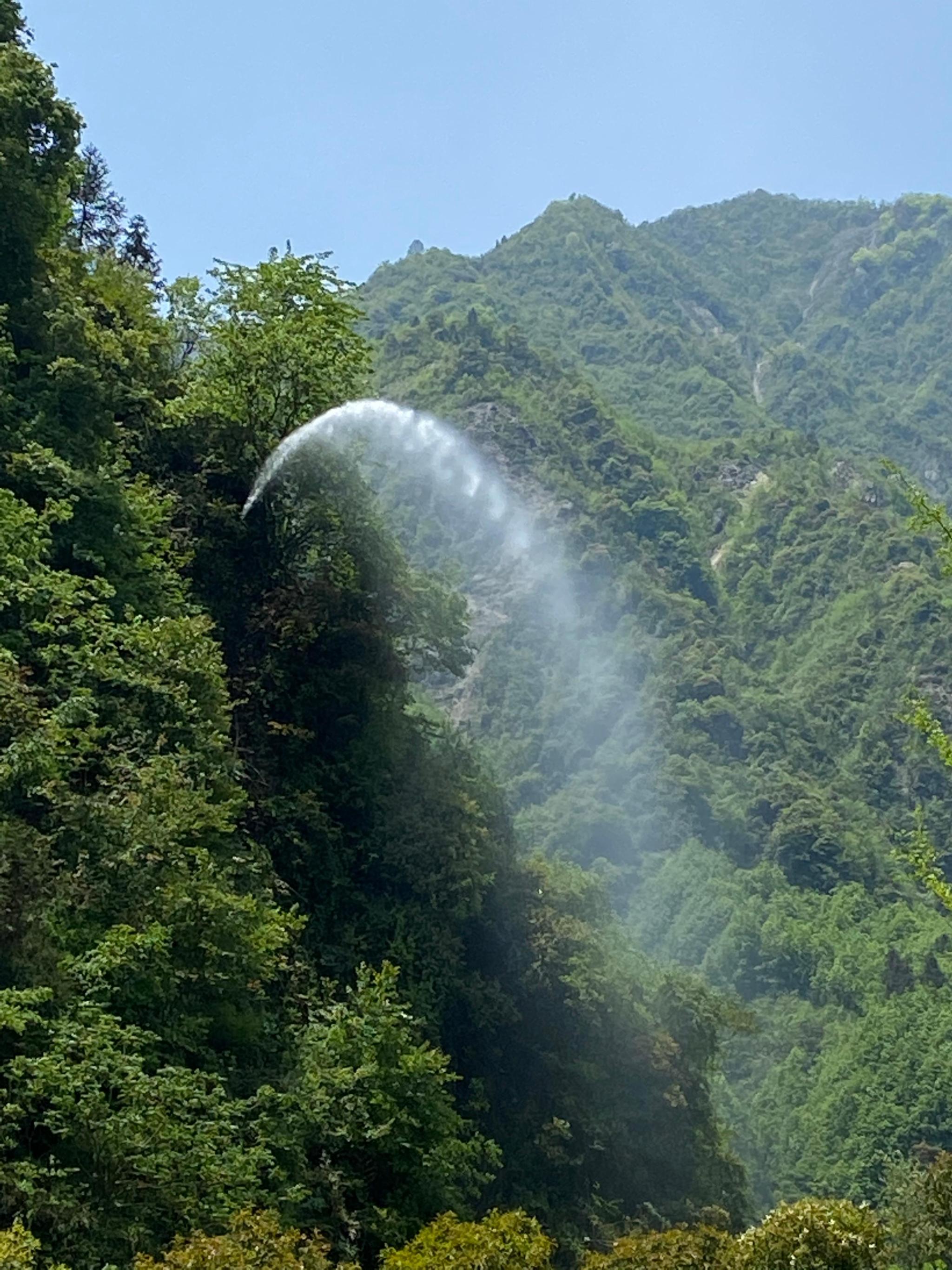 蟠龙 野游