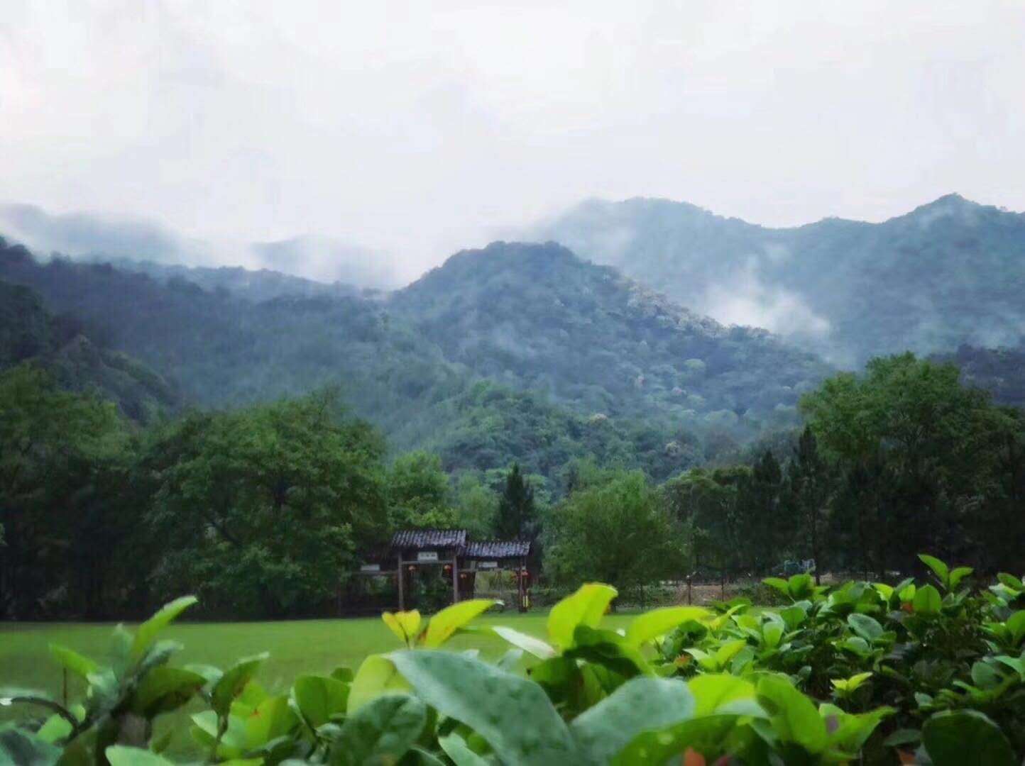 于山林中存真