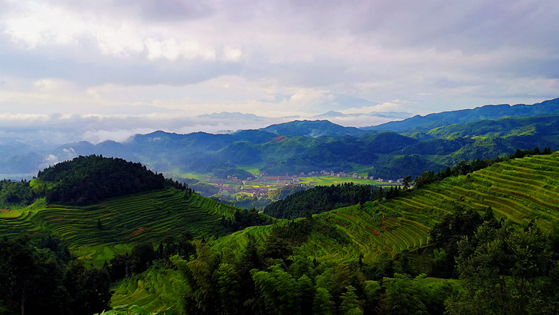 游侠看世界：紫鹊界梯田 山中岁月长