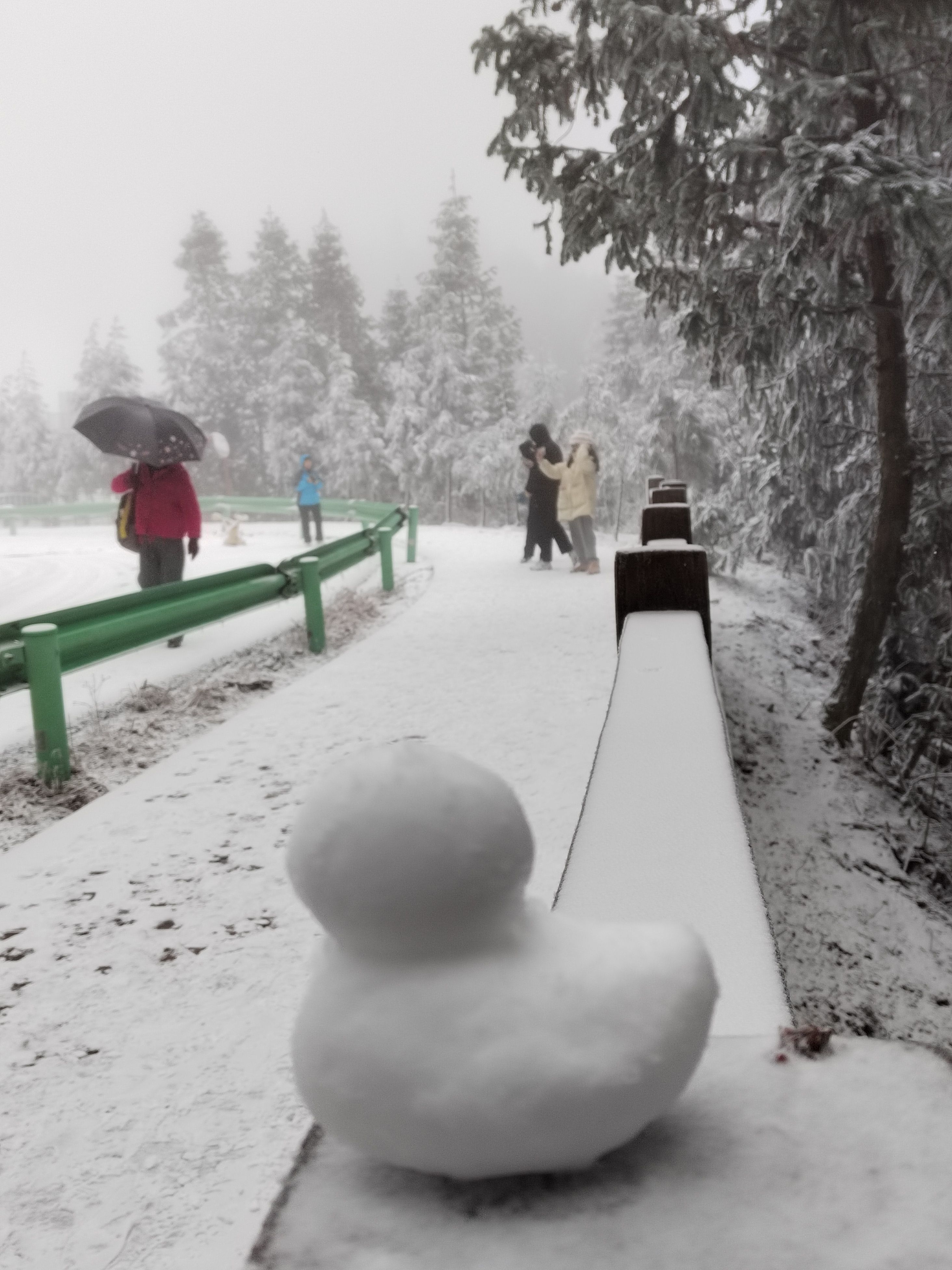 宜春高铁3日游，泡温泉加看雪，超值！